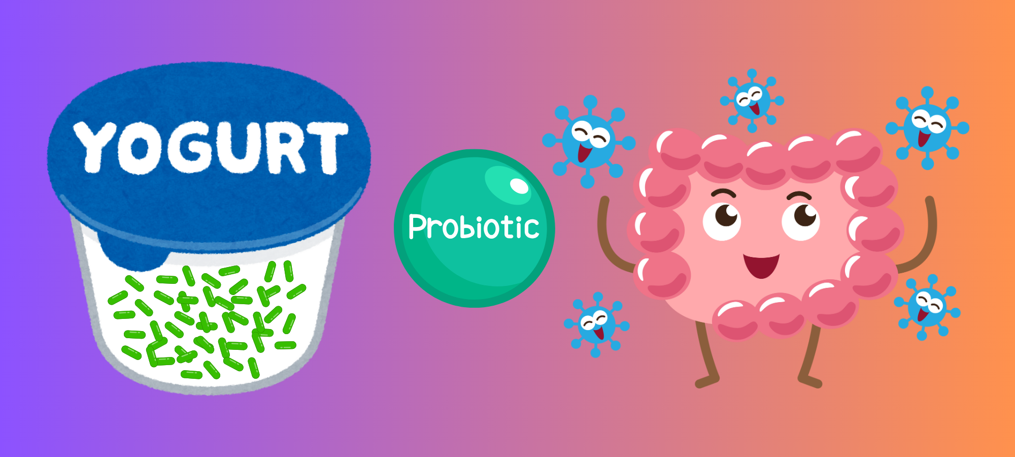 Das Mikrobiom wieder aufbauen mit verlorenen Arten – Mit Joghurt aus L. reuteri, L. gasseri und B. coagulans - SIBO-Joghurt
